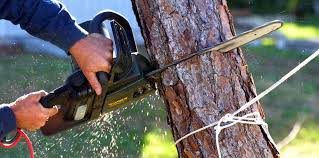 Soil Testing and Treatment in Penn Valley, CA