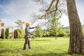Mulching Services in Penn Valley, CA